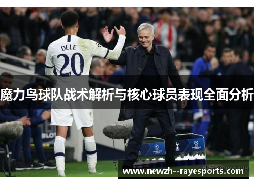魔力鸟球队战术解析与核心球员表现全面分析