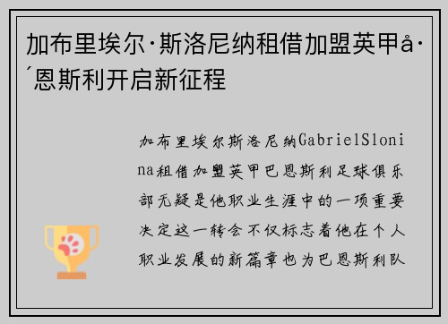 加布里埃尔·斯洛尼纳租借加盟英甲巴恩斯利开启新征程